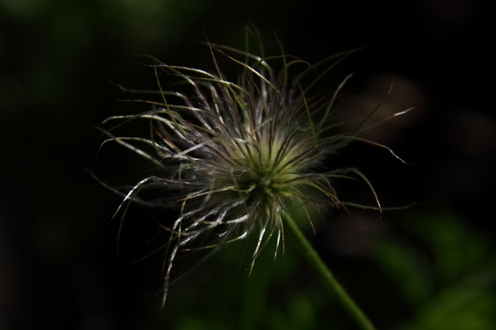 2012 05 20 4268